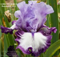 /album/a10/iris-girl-trouble-beaumunk-2012-jpeg/